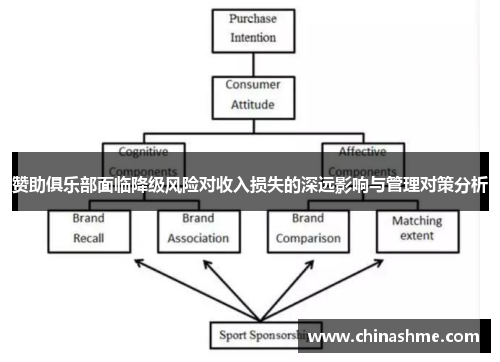赞助俱乐部面临降级风险对收入损失的深远影响与管理对策分析